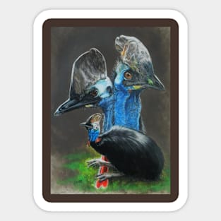 Cassowary Sticker